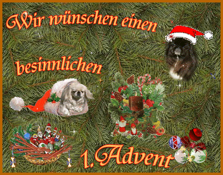 1_advent.gif