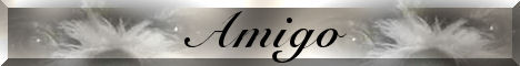 amigobanner.jpg