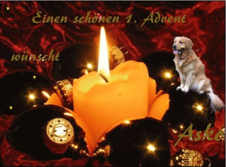 asko%20advent_1.gif