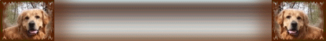 banner_0001.gif