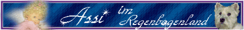 banner_assi.gif