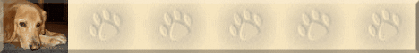 banner_barry.gif