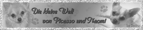 banner_picasso_naomi.gif
