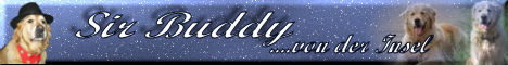 banner_sirbuddy.jpg