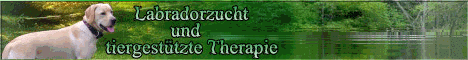 banner_swetlana1.gif
