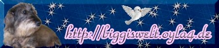 bannerbiggi.jpg
