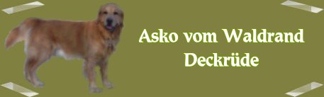 bannerhintegrund_090120_3.jpg