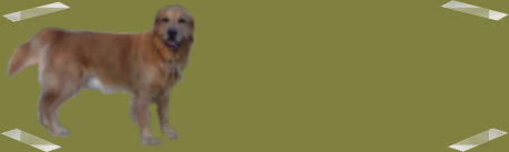 bannerhintegrund_090120_4.gif