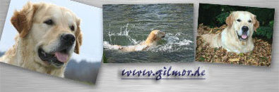 goldasko_2005012.jpg