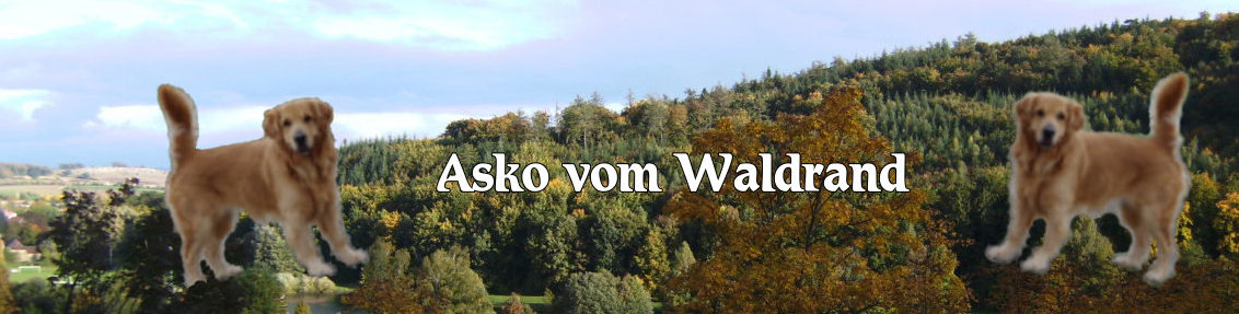 goldasko_2017001.jpg