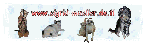 goldasko_2020003.gif