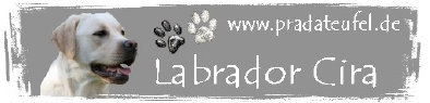 goldasko_2020019.jpg