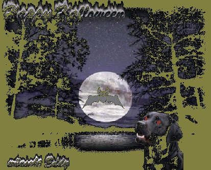 goldasko_2030011.jpg