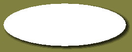 goldasko_2041002.jpg