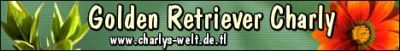 goldencharly_banner.jpg