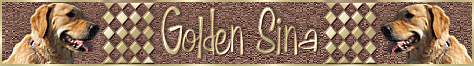 goldensinabanner1.gif