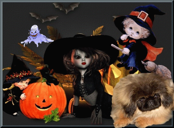 halloweensargma1.gif