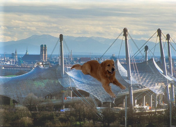 olypiastadion%20m%FCnchen_1.jpg